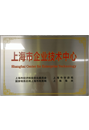 上海市企业手艺中心