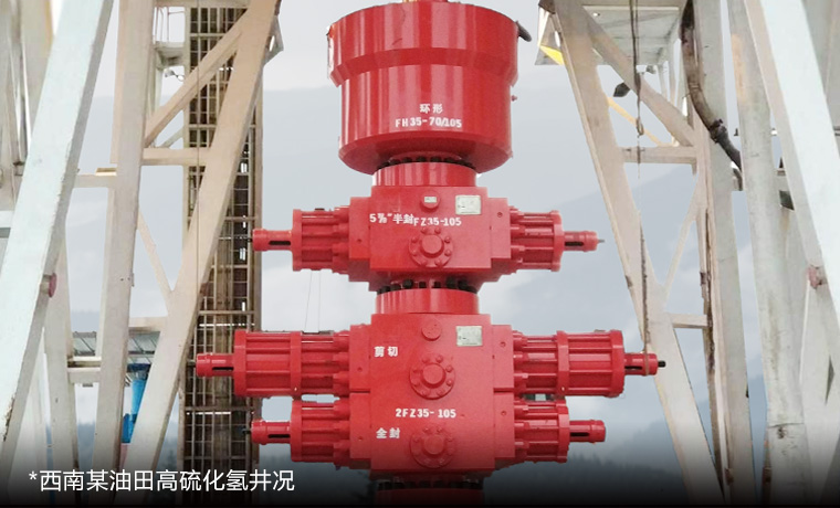 高抗硫井控装备解决计划